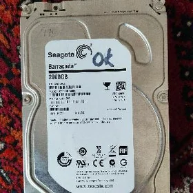 Seagate 2 TB disk
