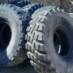 kamaz wedusi ayak