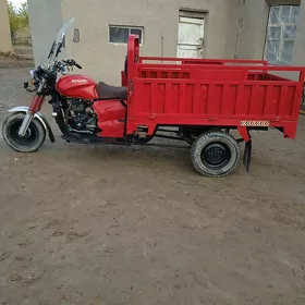 Fekon FK200-14G 2015