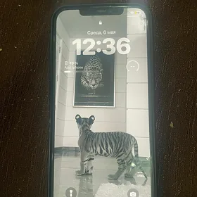 iPhone 12pro max