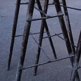 gurluşyk eşek