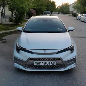 Toyota Corolla 2019