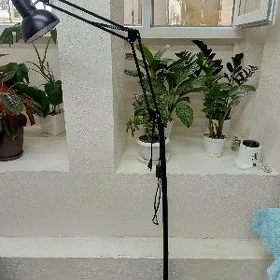 Lampa kirpik için