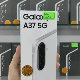 A37 arzanlady