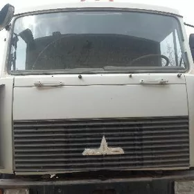Maz Samosval 2013