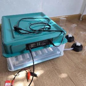 inkubator 36 yumurtga