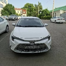 Toyota Corolla 2019