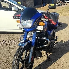Fekon FK150-8G 2013