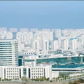 Arenda Berkerarlykda ofis