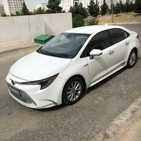 Toyota Corolla 2021