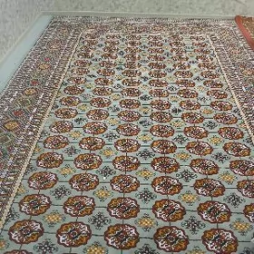 Baherden Haly