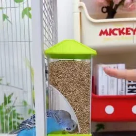 кормушка для птиц kormuşka