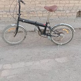 Kama 6 skors