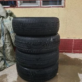 Pakrişga 14lik