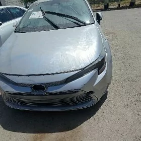 Toyota Corolla 2025