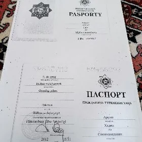 parport ŷitdi