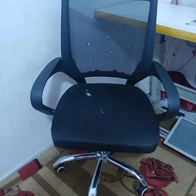 Жухи Тикин Машын