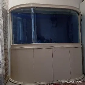 аквариум akwarium