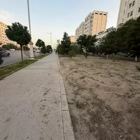Inlis yada rus Dili bilyan