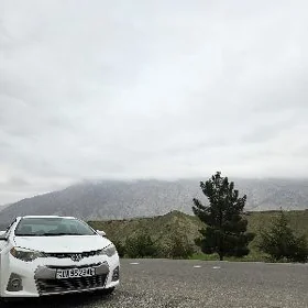 Toyota Corolla 2014