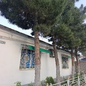 Yolka agajy