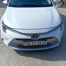 Toyota Corolla 2023