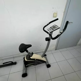 Domaşny tigir