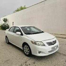 Toyota Corolla 2010