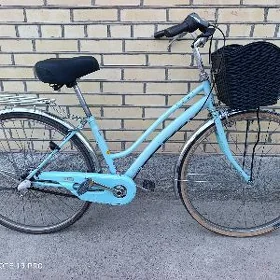 27 Tigir