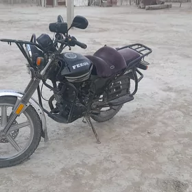 Fekon FK150-8G 2014