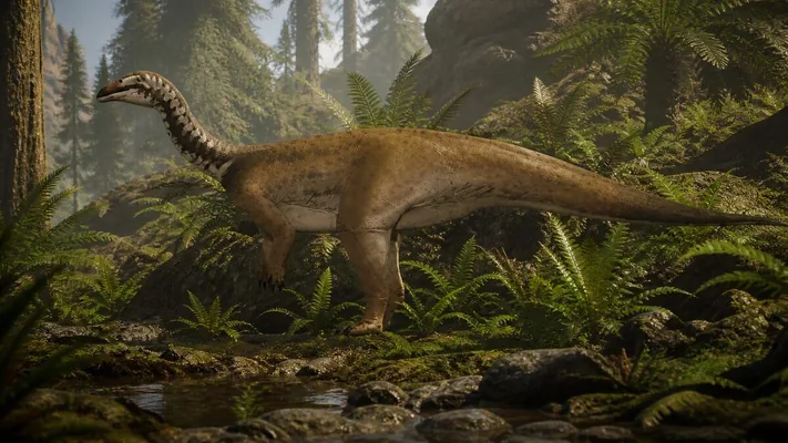 Alymlar Hytaýda dinozawryň täze görnüşini ýüze çykardy