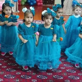 koýnek tikyan