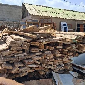 агачлар.раз.й.