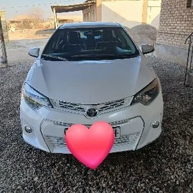Toyota Corolla 2013