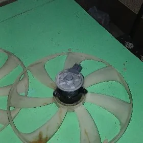 radyator lopus