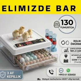  Inkubator Towuk Horaz Jüýje