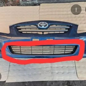 Corolla oblisowka