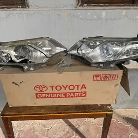 Palta Camry Fara
