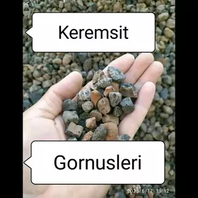 KERAMZIT MITI KERPIC GUM PULPA