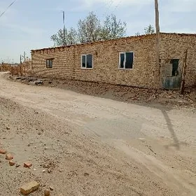 zaton daca