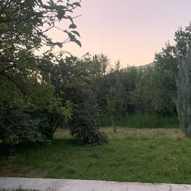 16sotak mellek yer