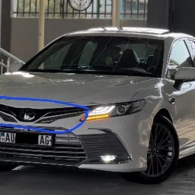 Camry Murt nikel Kemri hrom