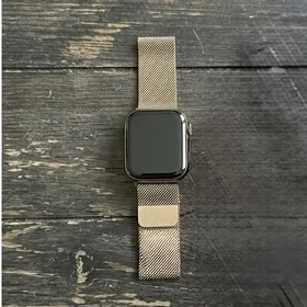 Apple Watch 6/44 stain steel