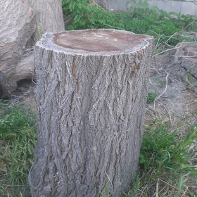 эт кунде