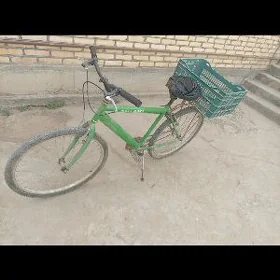 satlyk welik