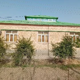 Guneş plan