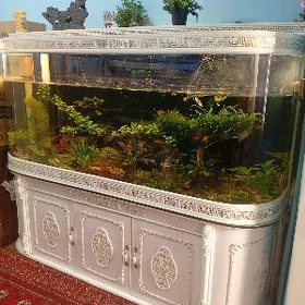 Аквариум Akvarium