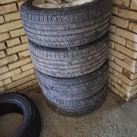 diska pakriska 17