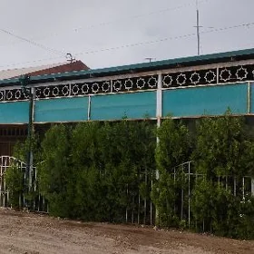 Satlyk jaý