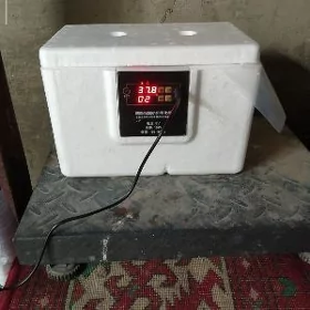 inkobator